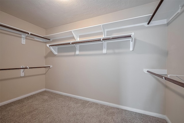 3722 Glover Meadows Ln, Houston, TX 77047 - walk in closet with carpet floors