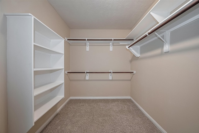 3722 Glover Meadows Ln, Houston, TX 77047 - spacious closet with carpet floors