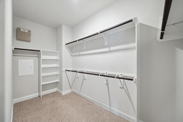 12 Centennial Ridge Pl, Magnolia, TX 77354 - walk in closet with light colored carpet