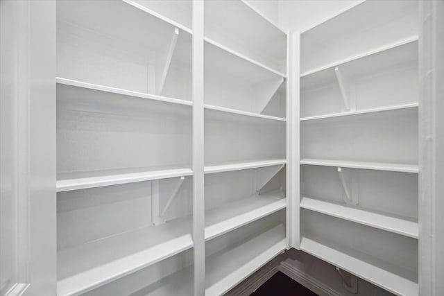 12 Centennial Ridge Pl, Magnolia, TX 77354 - view of pantry