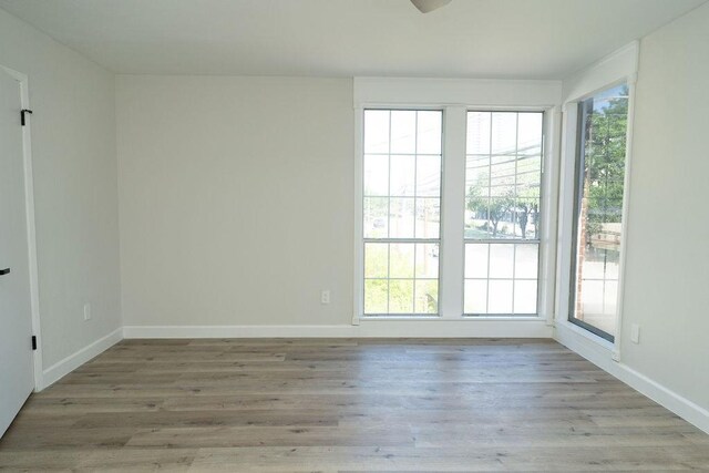 2243 W Alabama St Unit 10, Houston, TX 77098 - empty room featuring plenty of natural light, baseboards, and wood finished floors