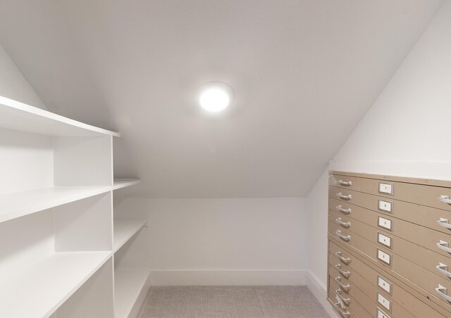 1827 Port O Call St, Tiki Island, TX 77554 - walk in closet featuring vaulted ceiling and light colored carpet