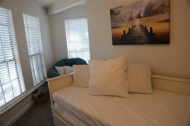 465 Creek Dr, Onalaska, TX 77360 - carpeted bedroom with multiple windows and baseboards