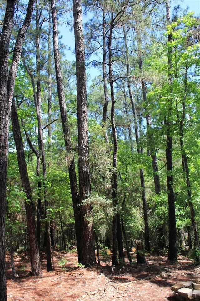 465 Creek Dr, Onalaska, TX 77360 - view of wooded area