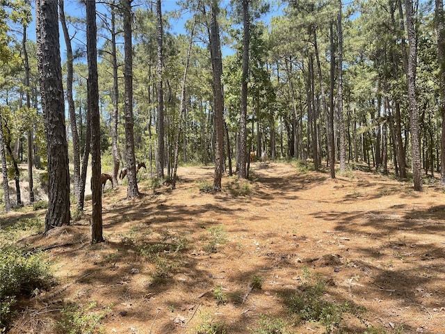 465 Creek Dr, Onalaska, TX 77360 - view of local wilderness