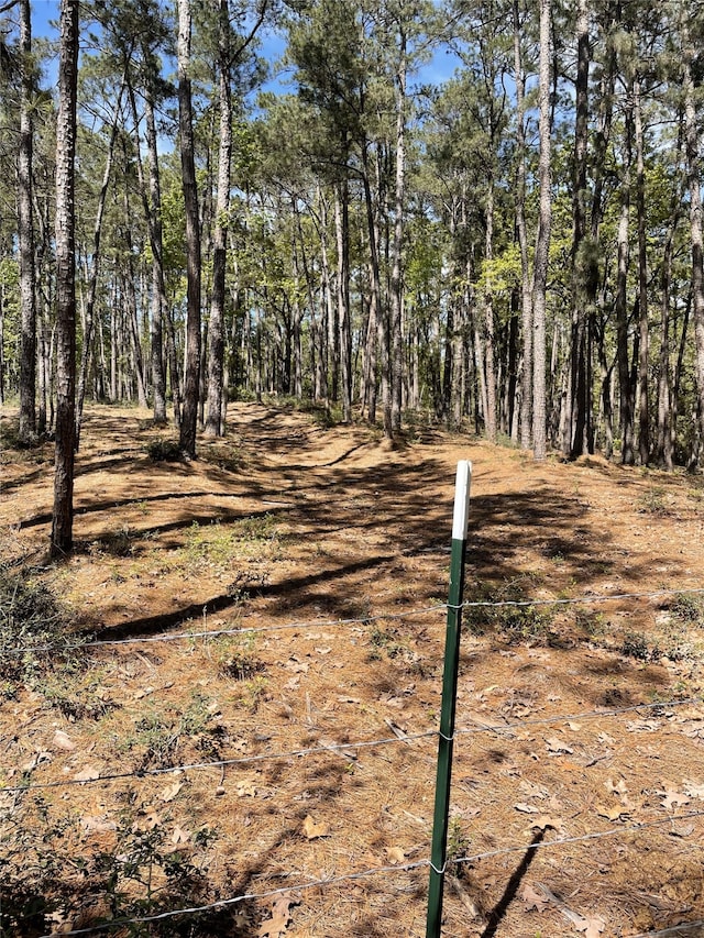 465 Creek Dr, Onalaska, TX 77360 - view of road
