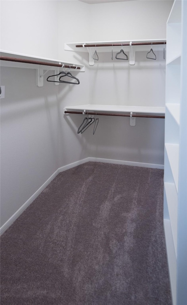 214 Emerald Thicket Ln, Humble, TX 77336 - spacious closet featuring carpet floors
