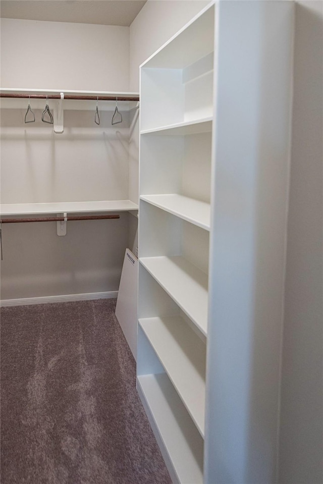 214 Emerald Thicket Ln, Humble, TX 77336 - spacious closet featuring carpet