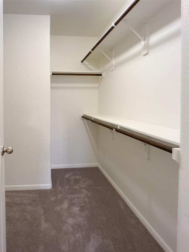 27203 Blue Pool Dr, Katy, TX 77493 - spacious closet featuring carpet floors