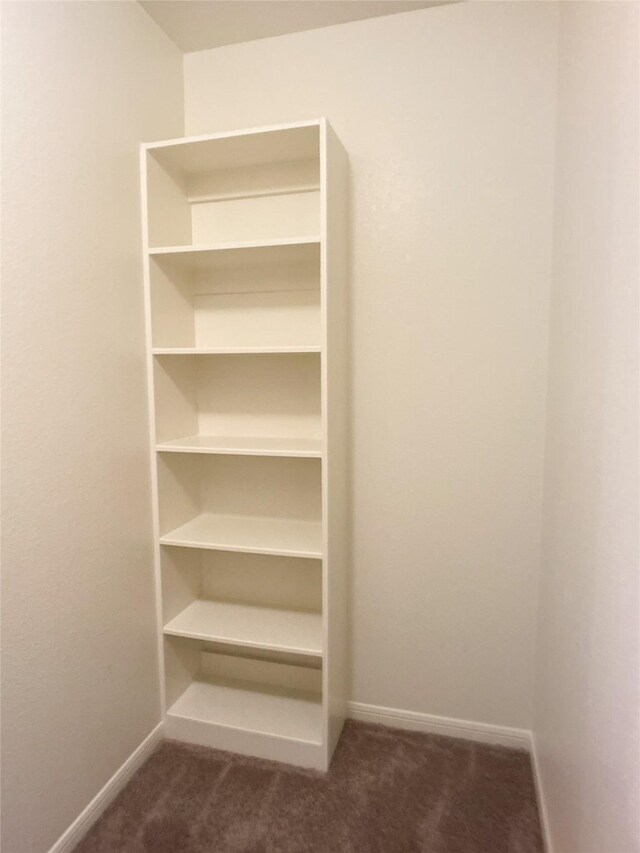 27203 Blue Pool Dr, Katy, TX 77493 - view of closet
