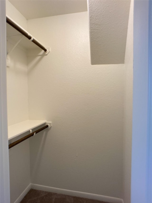 27203 Blue Pool Dr, Katy, TX 77493 - walk in closet featuring dark colored carpet
