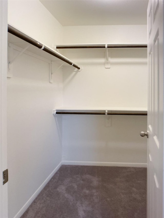27203 Blue Pool Dr, Katy, TX 77493 - walk in closet featuring carpet floors