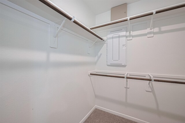 27203 Blue Pool Dr, Katy, TX 77493 - walk in closet with carpet flooring and electric panel