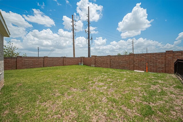 27203 Blue Pool Dr, Katy, TX 77493 - view of yard
