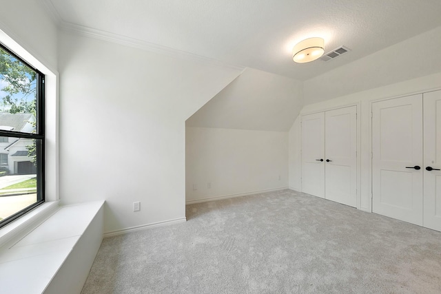 4528 S Evergreen St, Bellaire, TX 77401 - bonus room with carpet flooring, baseboards, and lofted ceiling