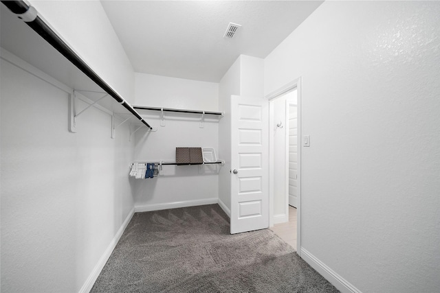 2334 Calm Channel Ct, Missouri City, TX 77459 - walk in closet with carpet flooring