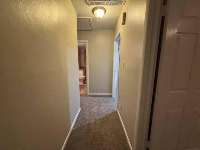 1102 Laurentide St, Houston, TX 77029 - hall with attic access, carpet flooring, and baseboards
