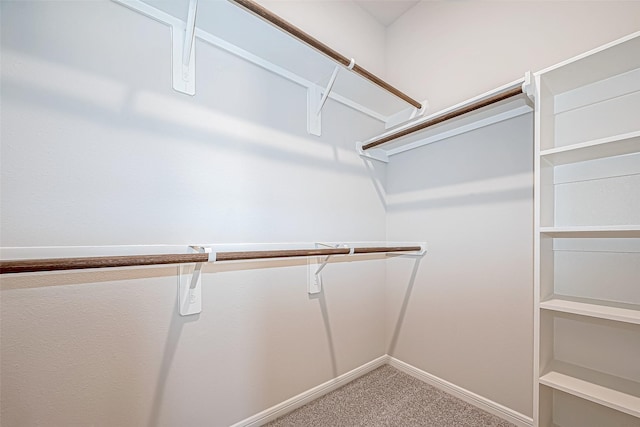 10155 Red Snapper Rd, Magnolia, TX 77354 - spacious closet featuring carpet