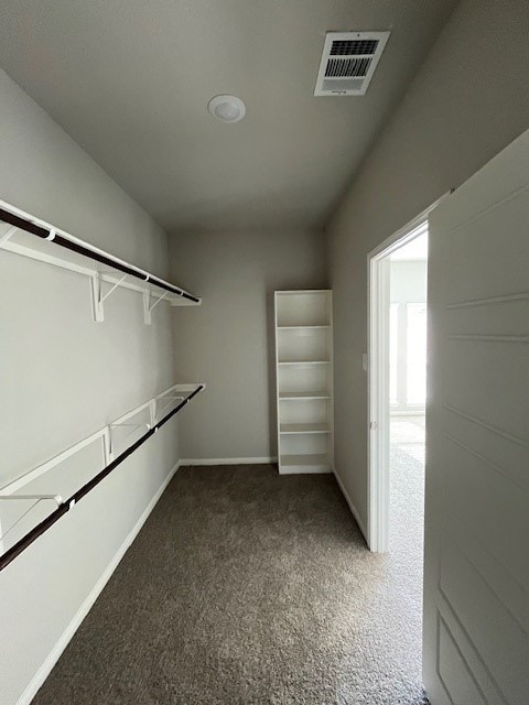 27290 Axis Deer Trl, Magnolia, TX 77354 - walk in closet featuring carpet floors