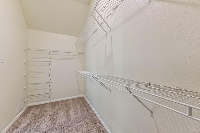 3506 Hickory Hill Ln, Montgomery, TX 77356 - spacious closet featuring light colored carpet