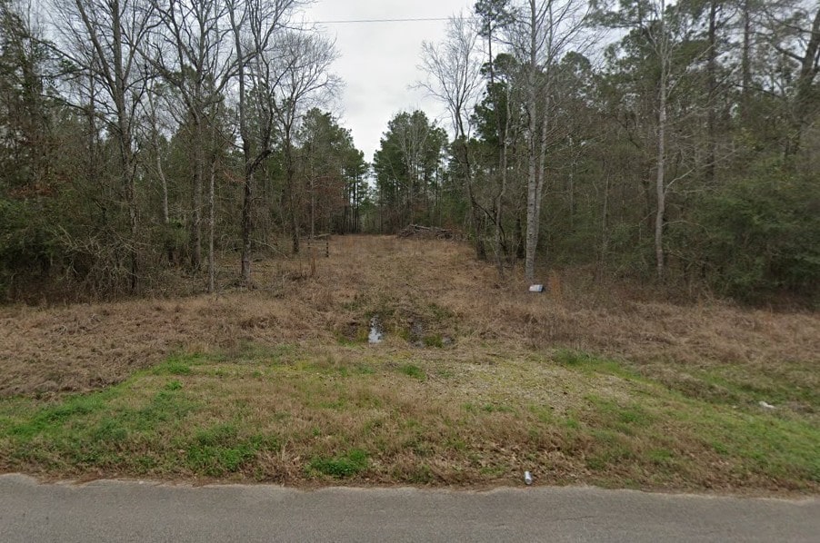 23848 Bailey Grove Rd, Montgomery, TX 77356