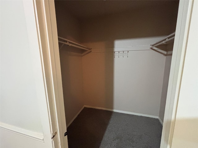 5506 Cactus Forest Dr, Houston, TX 77088 - spacious closet featuring carpet flooring