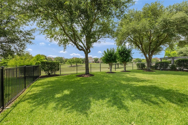 17311 Morgans Lake Dr, Cypress, TX 77433 - view of yard