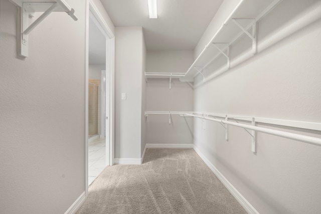 27130 Spanish Wind Ct, Magnolia, TX 77354 - spacious closet with carpet