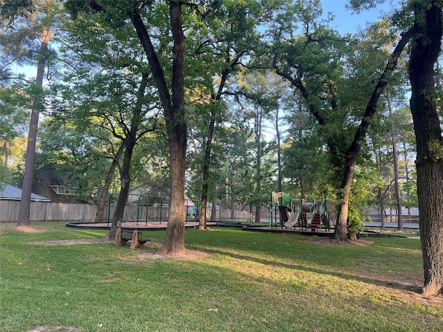 13631 Balmore Cir, Houston, TX 77069 - view of yard