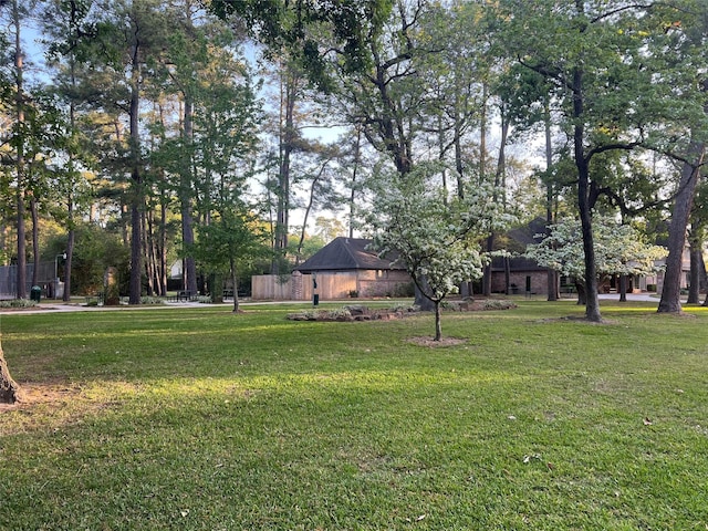 13631 Balmore Cir, Houston, TX 77069 - view of grassy yard