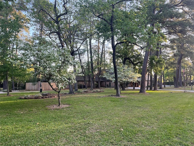 13631 Balmore Cir, Houston, TX 77069 - view of grassy yard