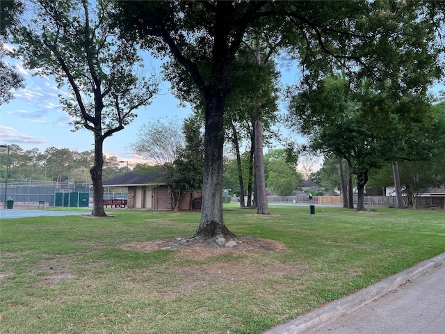 13631 Balmore Cir, Houston, TX 77069 - view of yard