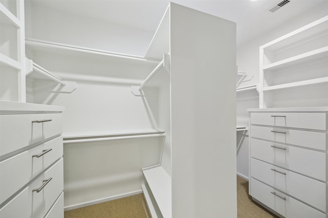 8003 Harbor Point Dr, Houston, TX 77071 - spacious closet with light colored carpet