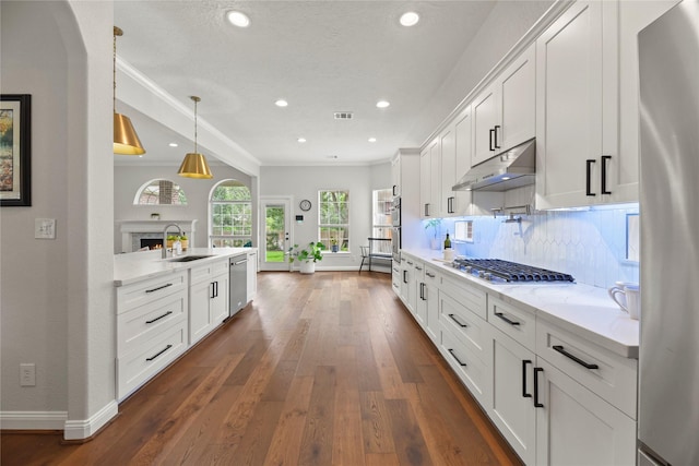 18818 Cypress Chateau Dr, Spring, TX 77388 - kitchen featuring under cabinet range hood, a sink, appliances with stainless steel finishes, baseboards, and recessed lighting