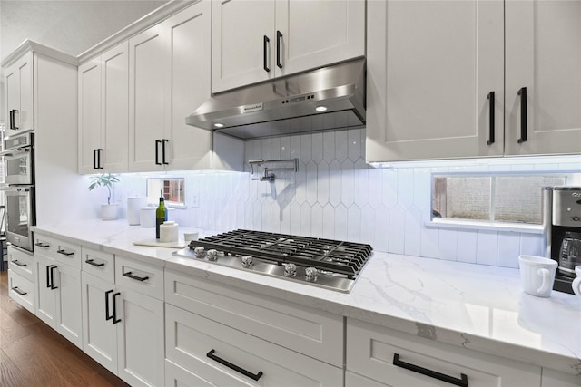 18818 Cypress Chateau Dr, Spring, TX 77388 - kitchen featuring under cabinet range hood, stainless steel appliances, white cabinetry, tasteful backsplash, and dark wood finished floors