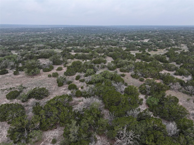 220 Rattlesnake Rd, Junction, TX 76849