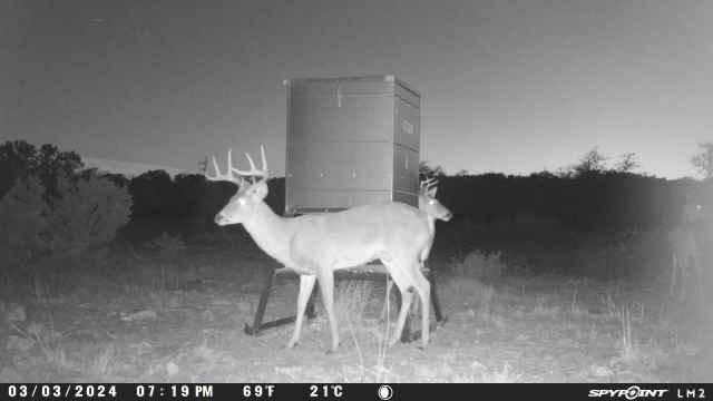220 Rattlesnake Rd, Junction, TX 76849