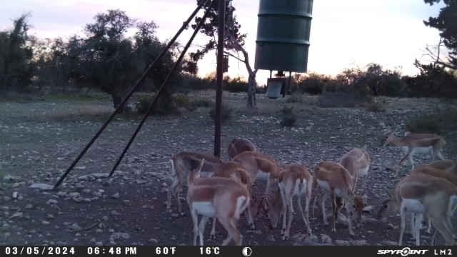220 Rattlesnake Rd, Junction, TX 76849