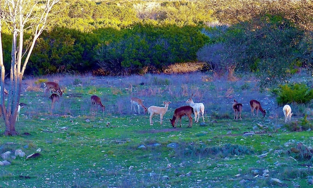 220 Rattlesnake Rd, Junction, TX 76849