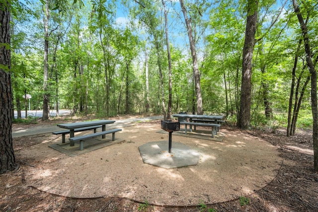 11 Snow Woods Ct, The Woodlands, TX 77385 - photo 35