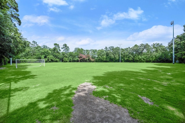 11 Snow Woods Ct, The Woodlands, TX 77385 - photo 36