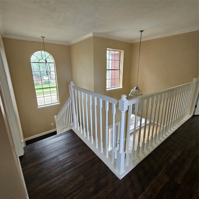 6118 Deep S Dr, Katy, TX 77449 - stairs featuring wood finished floors, a textured ceiling, plenty of natural light, baseboards, and crown molding