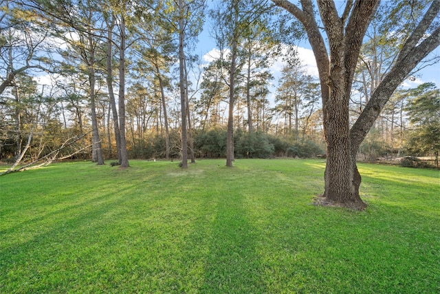 33 Lake Forest Dr, Conroe, TX 77384 - photo 42