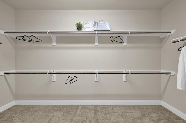 13518 Ambler Springs Dr, Tomball, TX 77377 - spacious closet featuring carpet floors