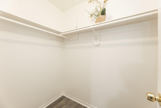 2543 Sage Brush Ln, Sugar Land, TX 77479 - spacious closet featuring dark wood-type flooring