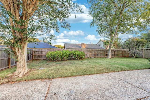 2543 Sage Brush Ln, Sugar Land, TX 77479 - view of yard
