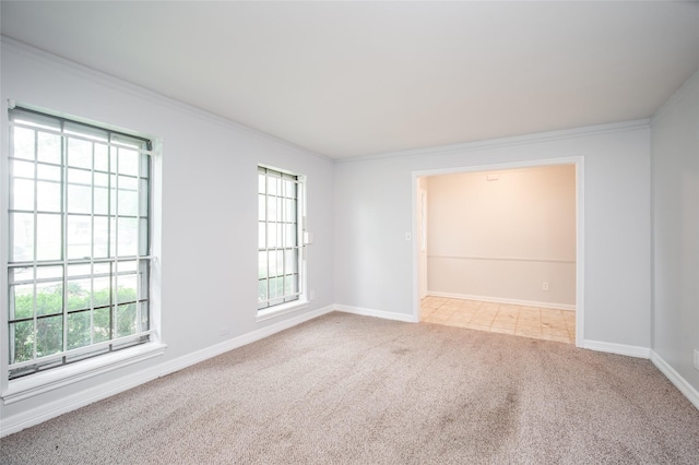 15319 Paseo Del Rey Dr, Houston, TX 77083 - empty room featuring carpet flooring, crown molding, plenty of natural light, and baseboards