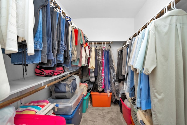 2602 Tacoma Springs Dr, Conroe, TX 77304 - spacious closet featuring carpet floors