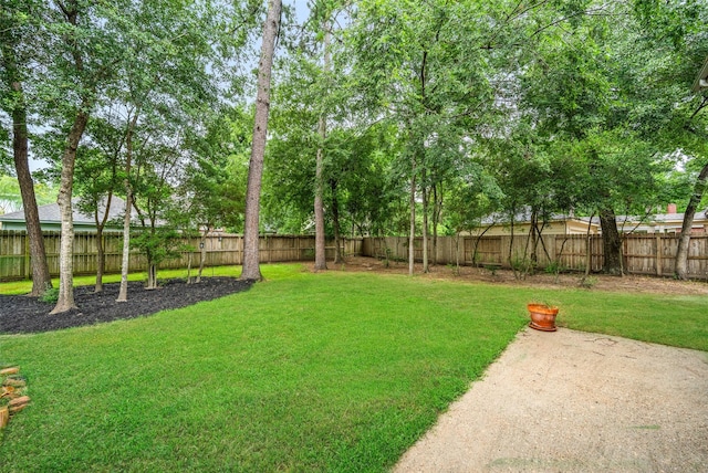 15 S Duskwood Pl, The Woodlands, TX 77381 - view of yard