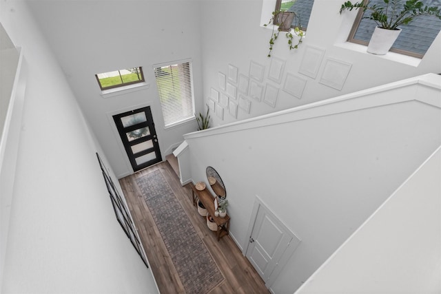 19180 Cedar Lennox Cir, Magnolia, TX 77355 - entryway with wood finished floors and a high ceiling